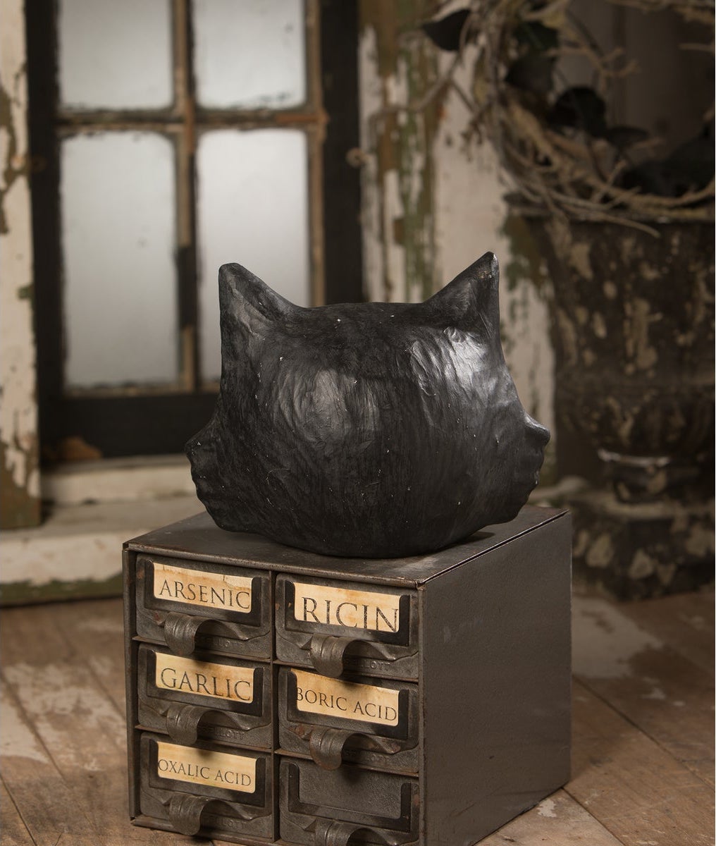 Mr. Shady Cat Luminary Paper Mache