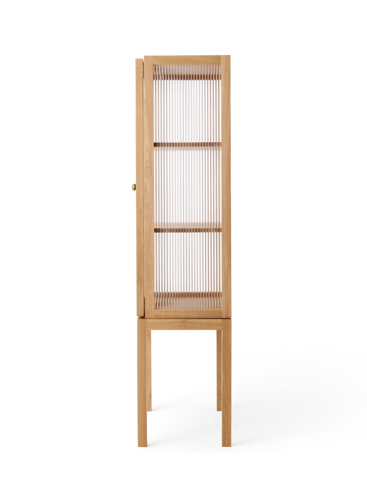 Curiosity Cabinet