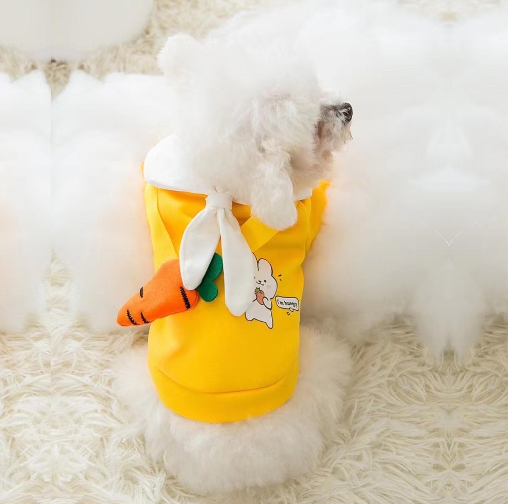 Cute Cartoon Pet Sweater with Crossbody Bag