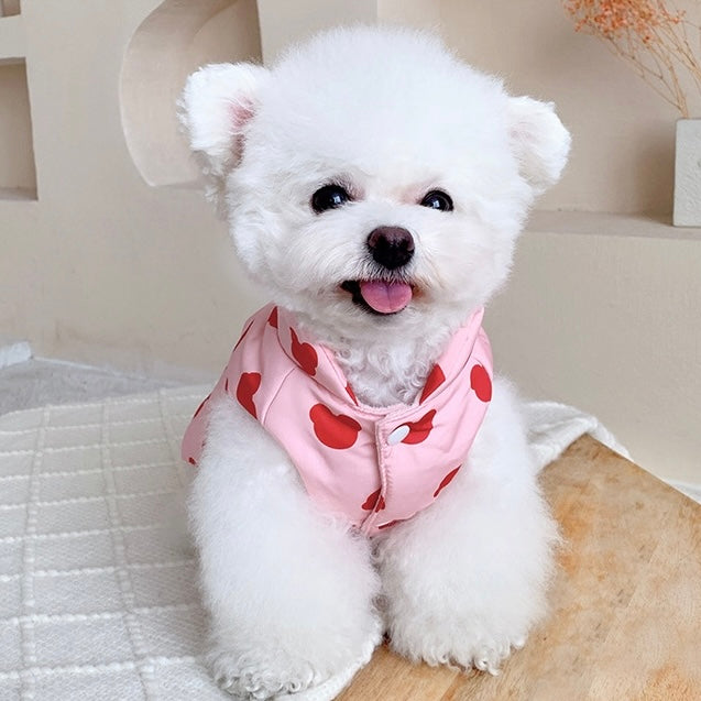 Sweet Bear Printed Dog Jacket Vest