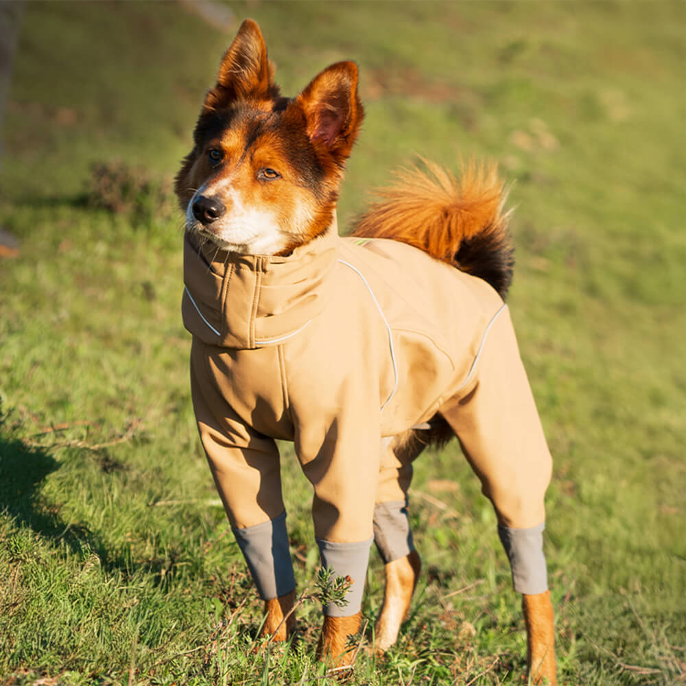 Full Coverage Waterproof Reflective Adjustable Turtleneck Warm Dog Jacket