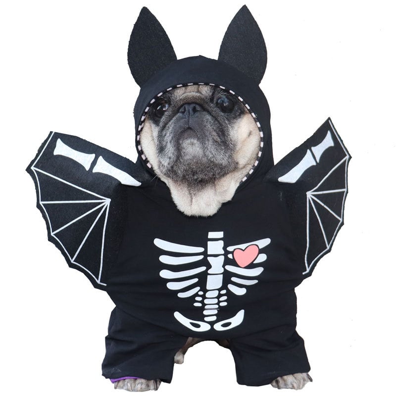 Deadly Doll Costume Pet Clothes