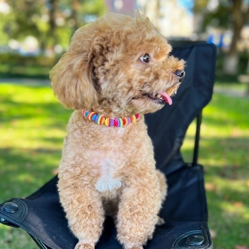 Cute Plastic Geometric Beaded Pet Collar