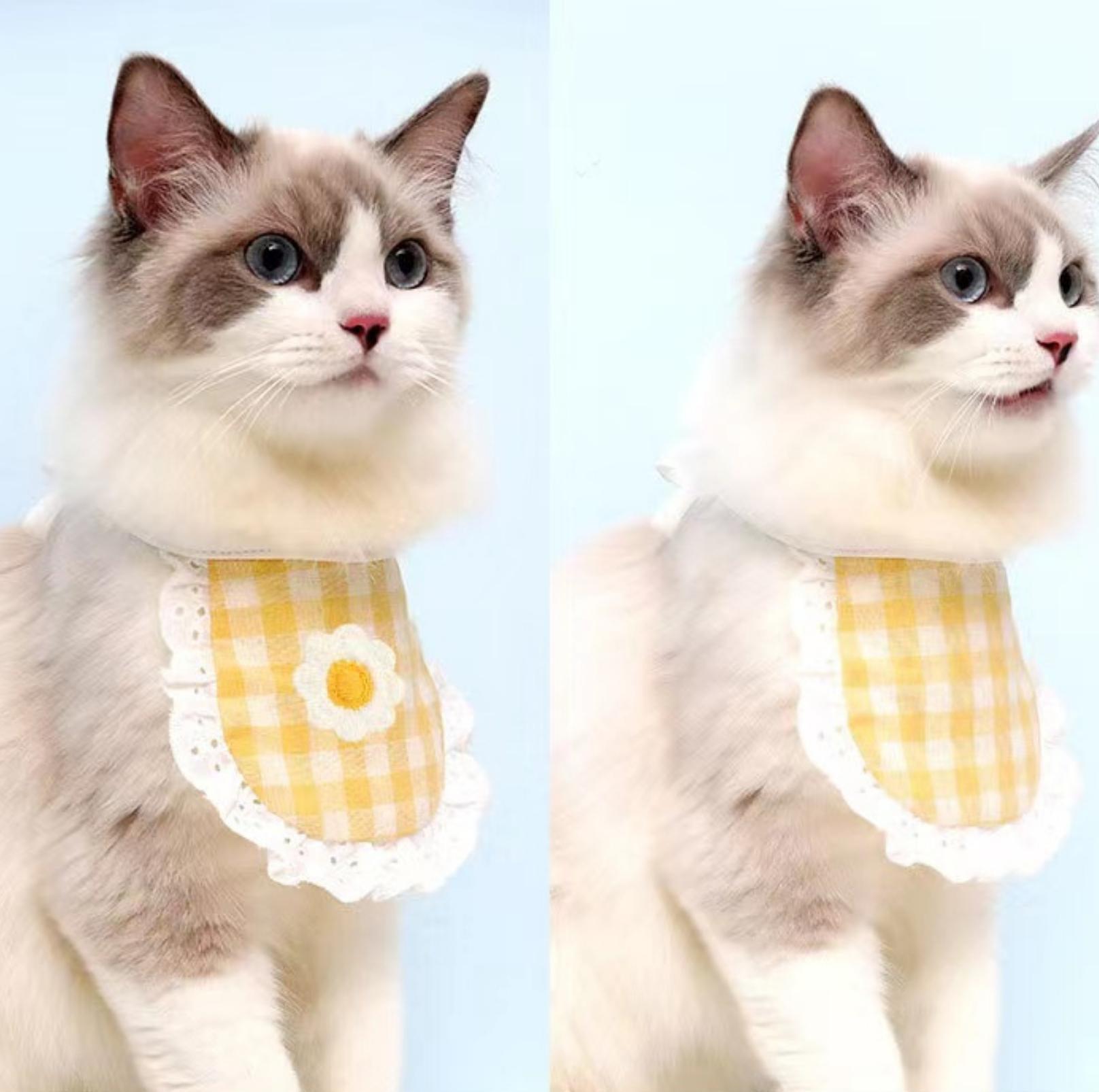 Lace-Trimmed Plaid Pattern Pet Bib Cat And Dog Accessories