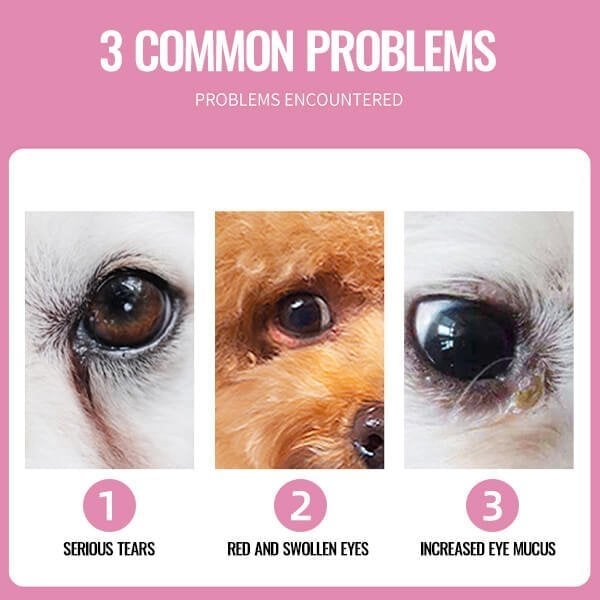 Pet Tear Stain Wipes 🔥Buy 2 Get 1 Free