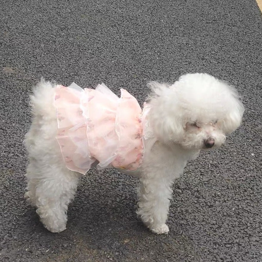 Princess Lace Layered Dog Cat Dress