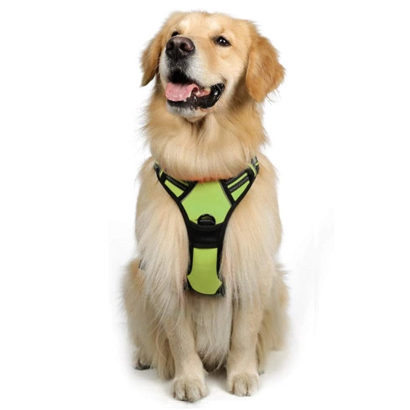 Minimalist Nylon Color Block Leash
