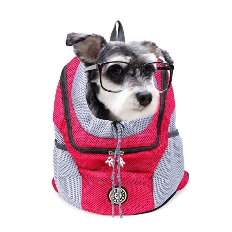 🔥2023 Dog Backpack