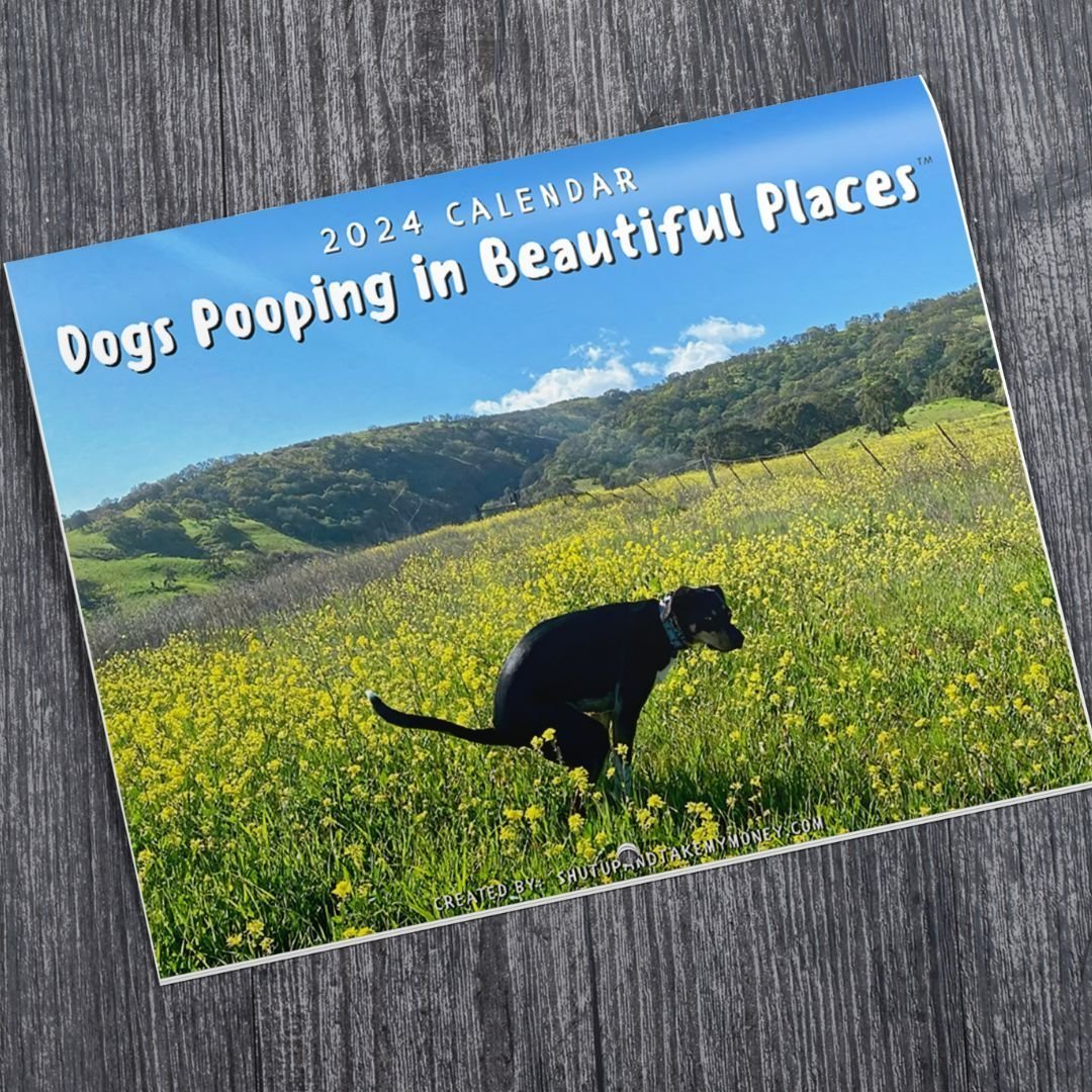 😆Funniest calendar of the century|Artistic expression of furry friends