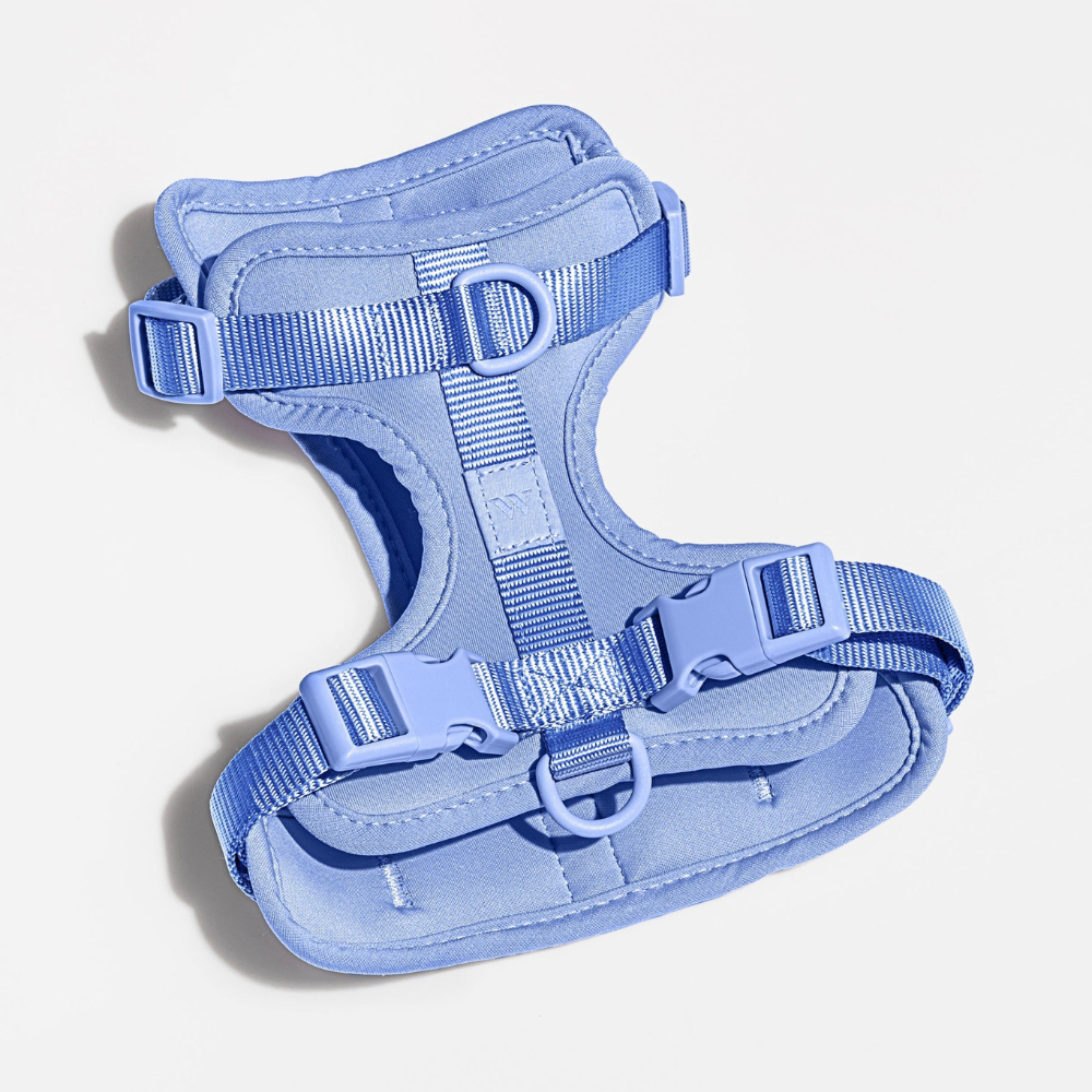 Wild One Dog Harness