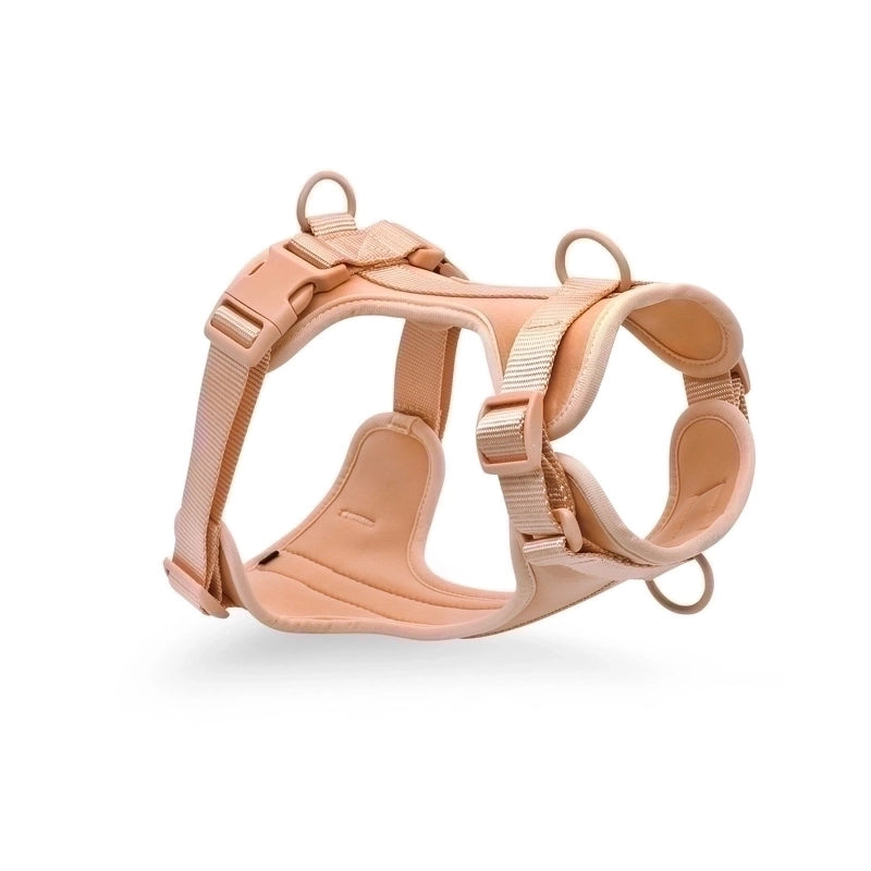 Minimalist Classic Style Pvc Polyester Solid Color Leash