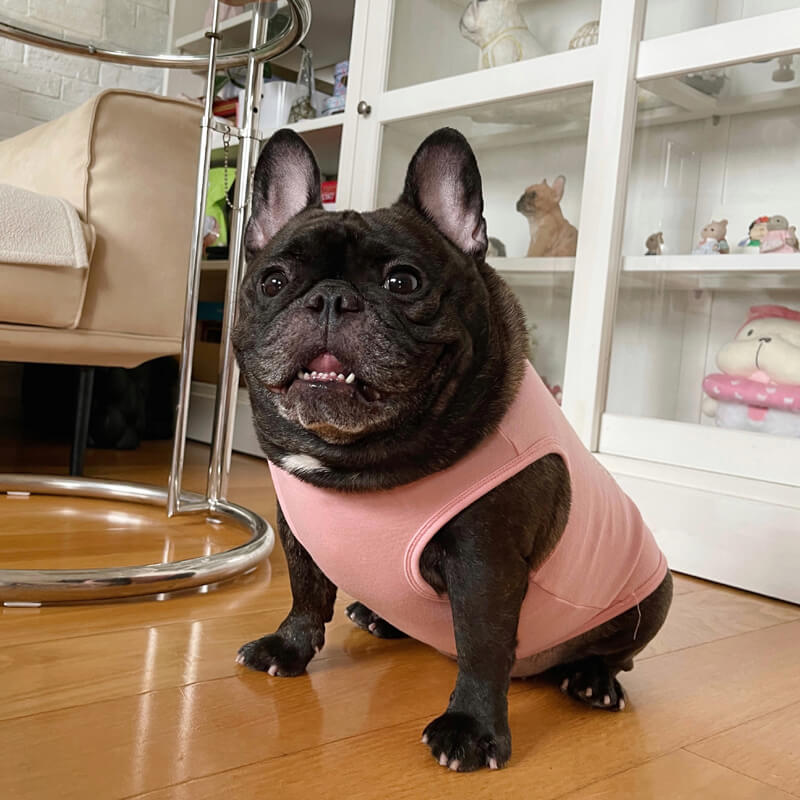 Pink Matching T-Shirts and Puppy Vest Set for Dog and Owner