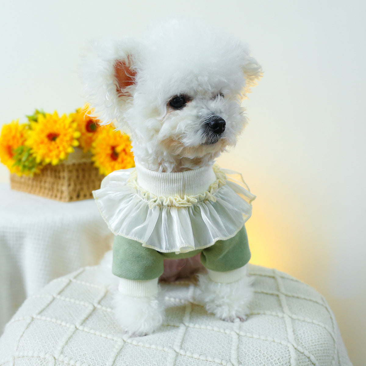 Cupcake Lace Collar Dog Cat Sweatshirt