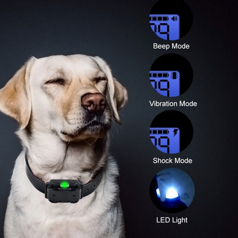800m Electric Remote Control Waterproof Pet Training Collar