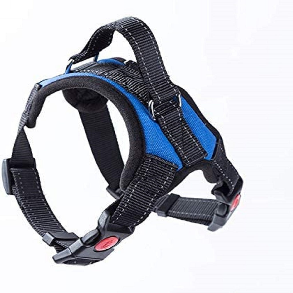 Dog Harnesses