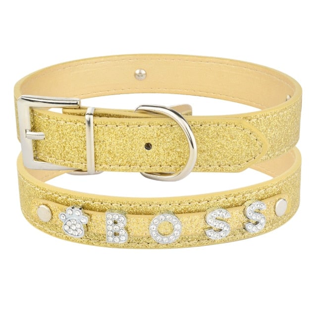 Personalized Dog Collar with Name