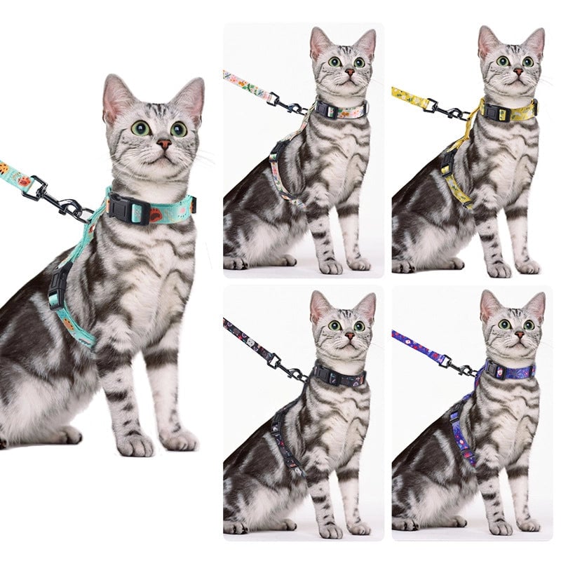 Cat Leash Suit Cat H-shaped Chest Strap Cat Leash Anti-break I-shaped Cat Leash Customization