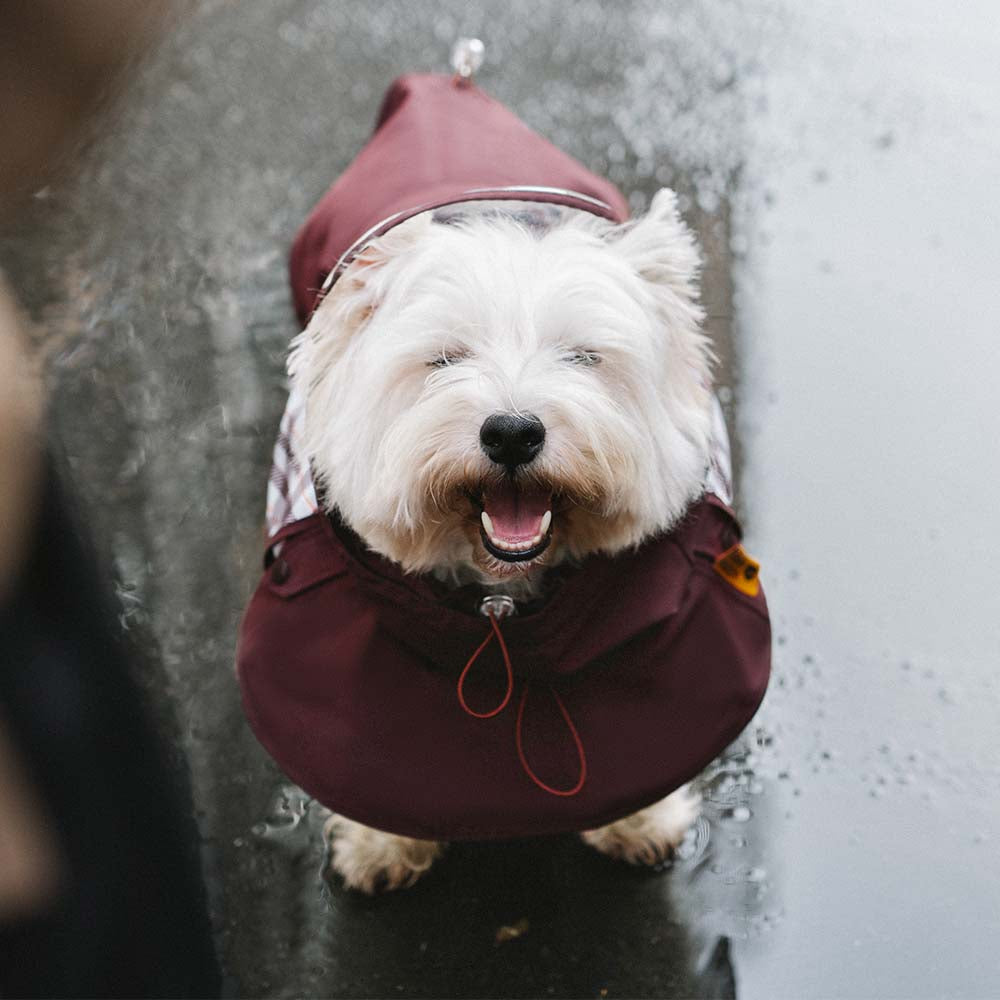 Waterproof Vintage Plaid Adjustable Dog Raincoat - All-Weather Protection