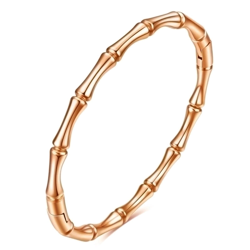Minimalist Solid Color Titanium Steel Plating Gold Plated Bangle