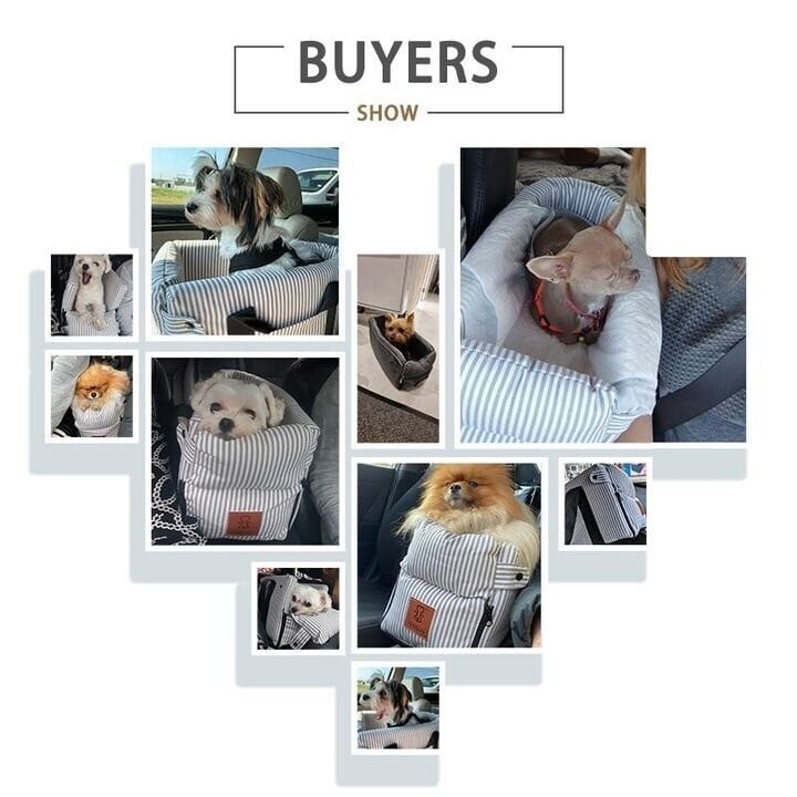 Snuggly-Safe Puppy Car Seat