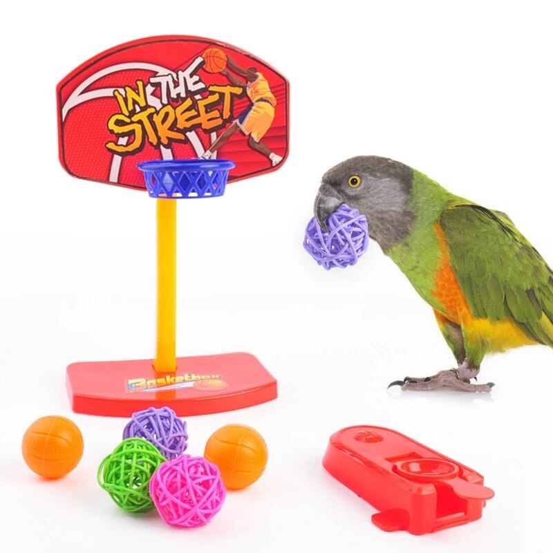 Bird Parrot Activity Toys