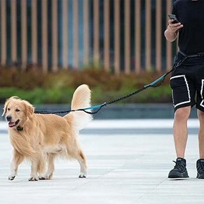 Hands Free Dog Leash