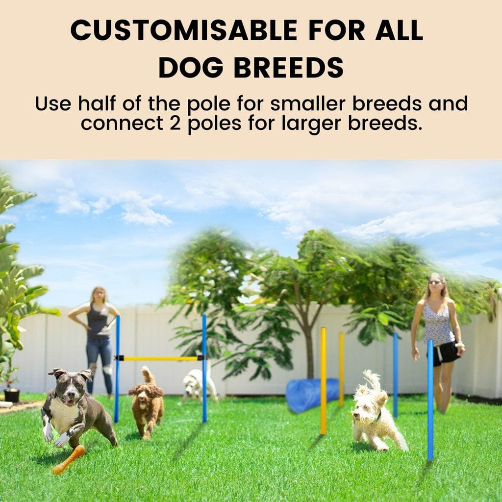 Dog Agility Training Set