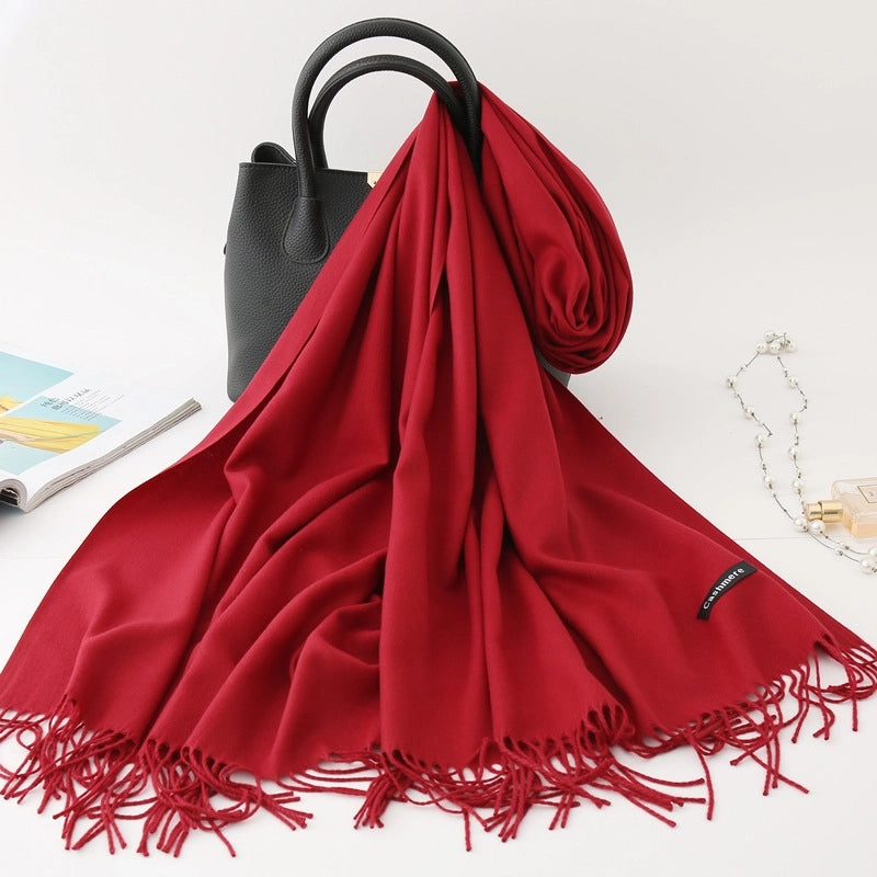 Women's Modern Style Solid Color Imitation Cashmere Scarf