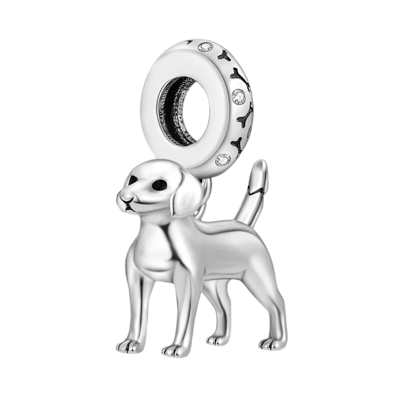 Paw And Animal Shape Charm Beads