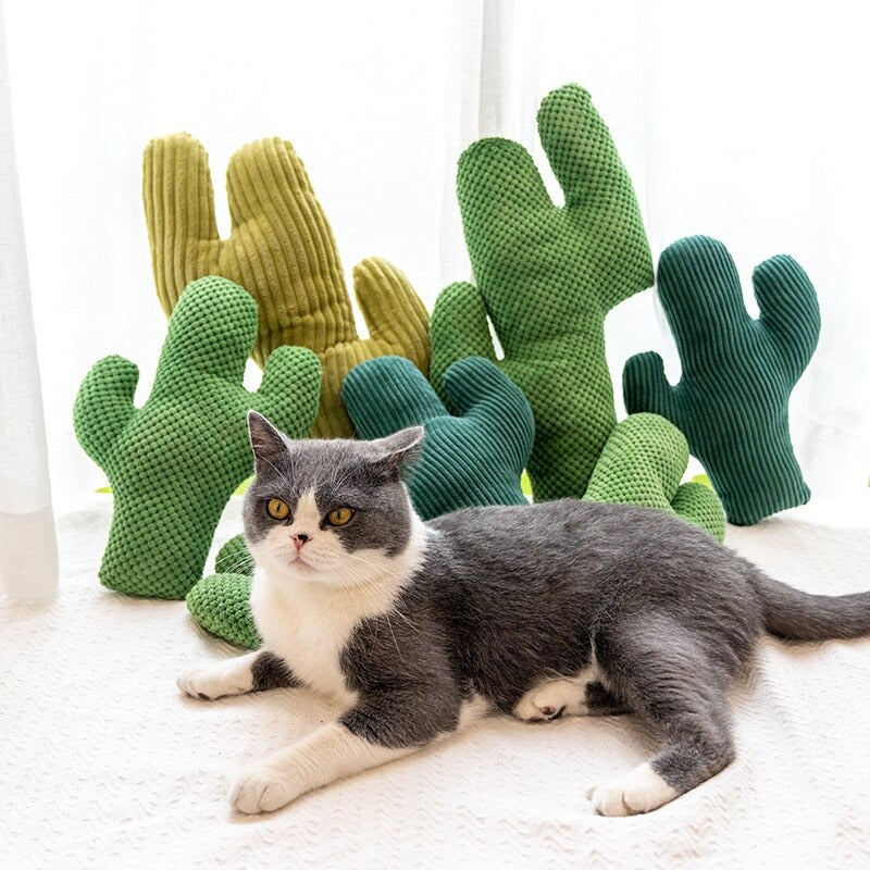 Cactus Catnip Cat Toy