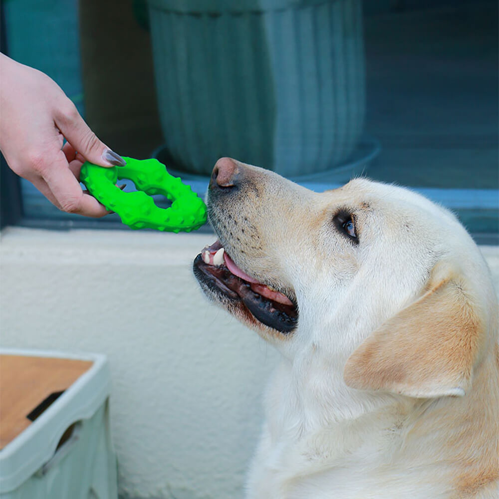 Dog Interactiv Squeaky Toy Teething Chew Toy