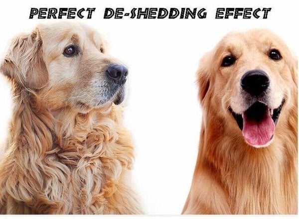 💖Hot Sale 🎁Pet Safe Dematting Comb