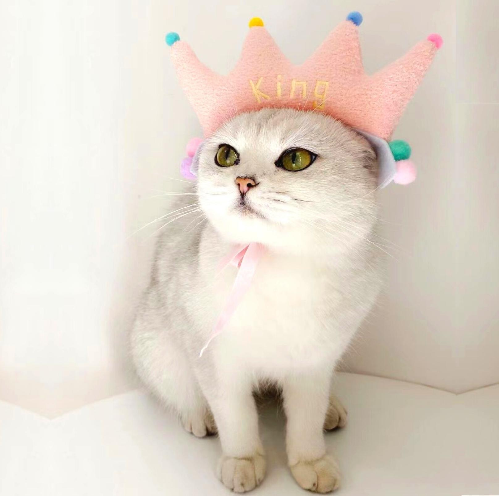 Pink Plush Cat And Dog Birthday Crown