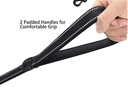 Heavy Duty Dog Leash - 2 Handles by Padded Traffic Handle for Extra Control. 6foot Long - Perfect for Medium to Large Dogs (6 ft. Black)