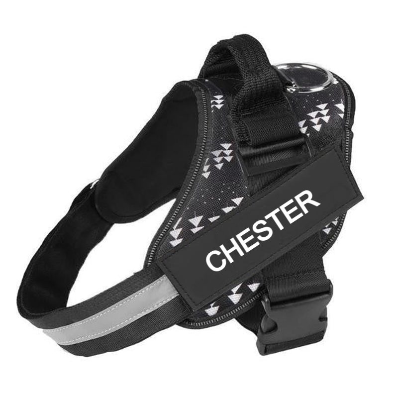Custom No Pull Dog Harness with Name and Phone Number. Heavy Duty Personalized Pet Vest