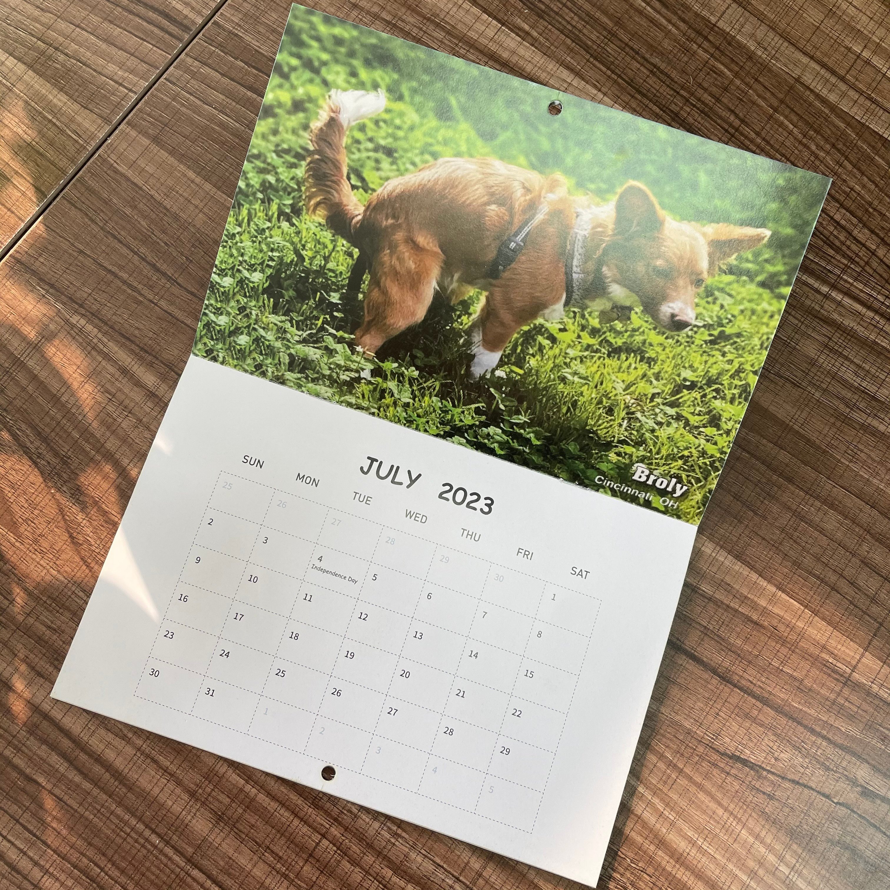 Funny Calendar Gift - Dog Poop Calendar