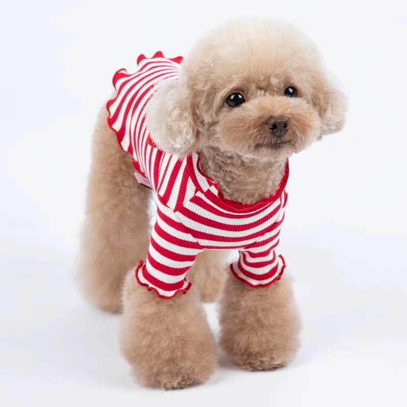 Striped Cherry Decor Dog Shirt