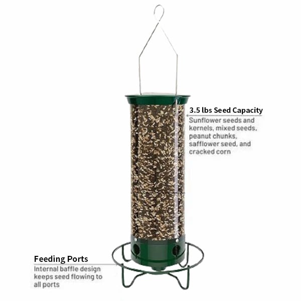 🔥Hot Sale 49% OFF🐦Squirrel-Proof Bird Feeder💥Buy 2 Get Free Shipping