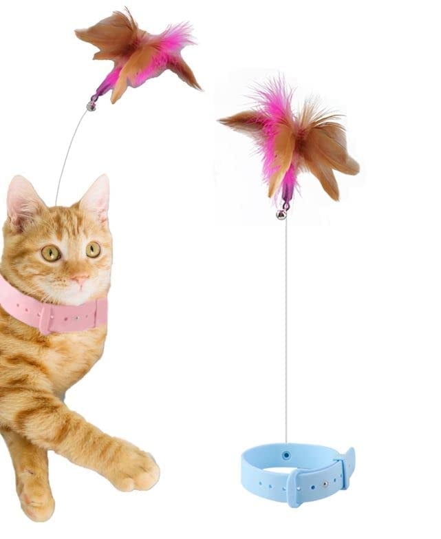 Cat Collar Toy