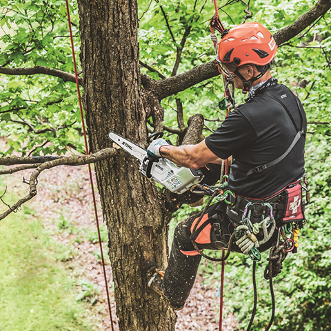 MSA 161 T Battery Chainsaw