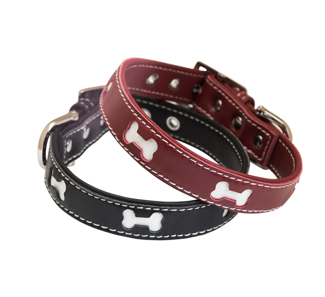 Bones Dog Collars