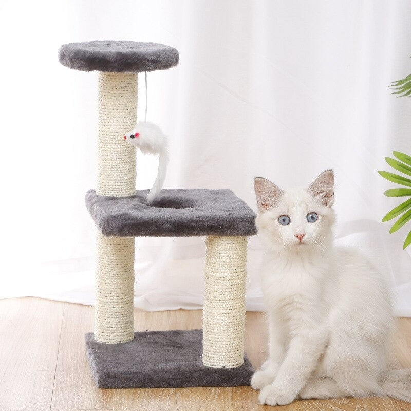 Small Cat Tree House