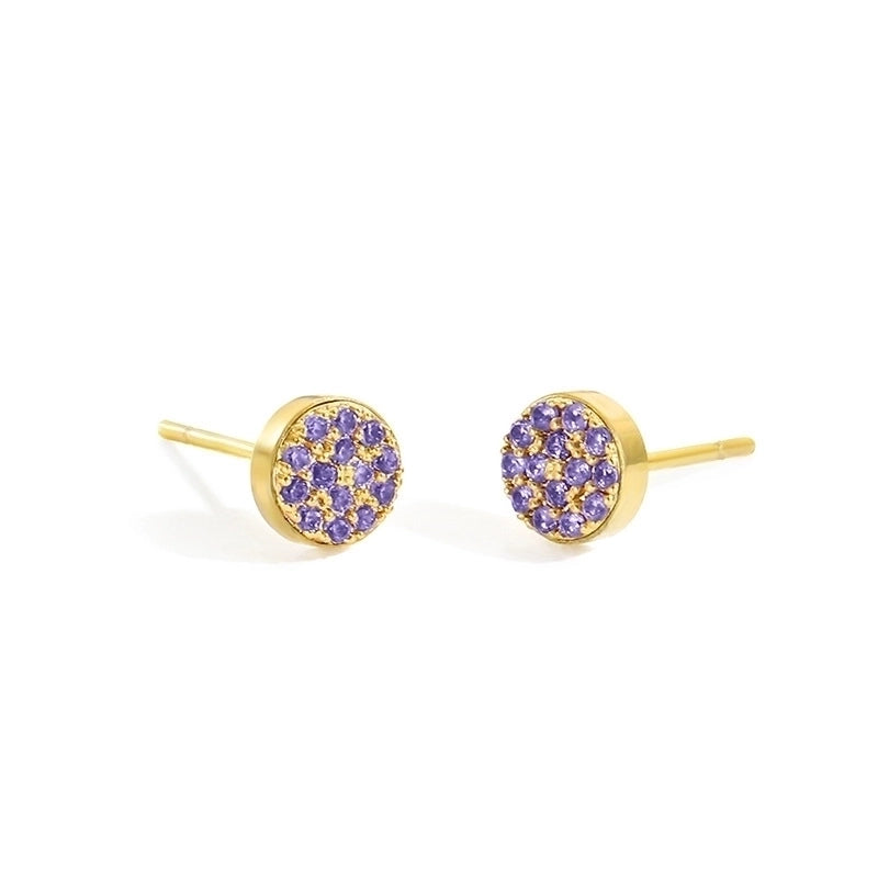 Minimalist Round Stainless Steel Inlay Artificial Diamond Ear Studs 1 Pair