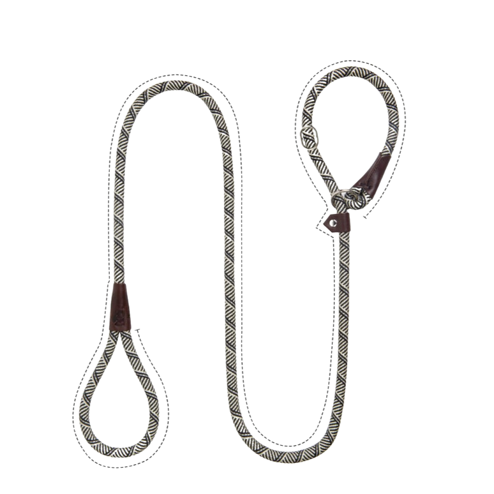 Sturdy Slip Training Leash