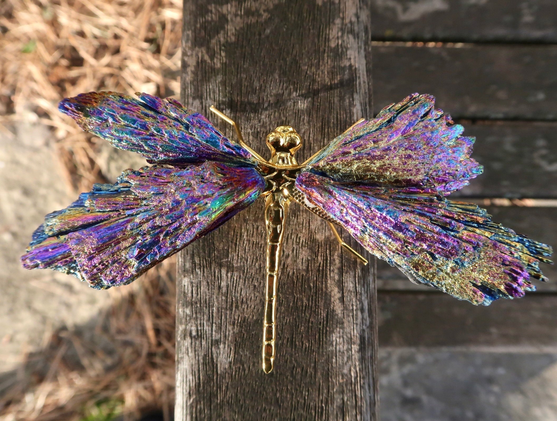 💥🦋AURA TOURMALINE KYANITE DRAGONFLY✨