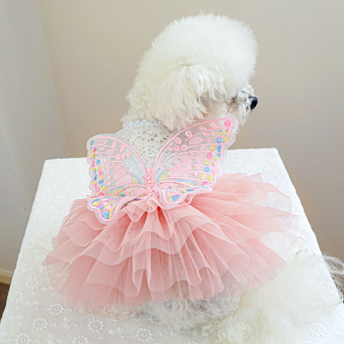 Colorful Butterfly Layered Dog Cat Lace Dress