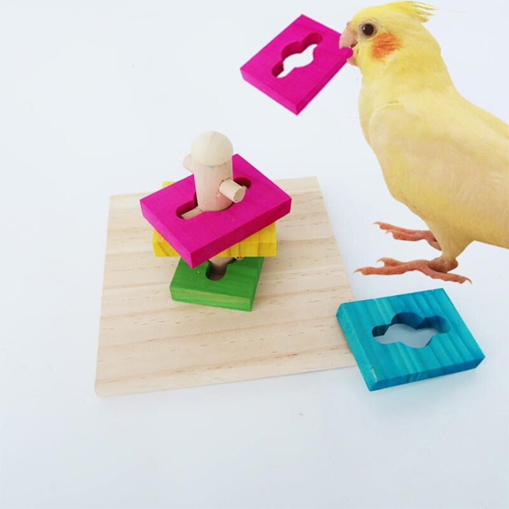 Trick Training Puzzle Toy For Birds