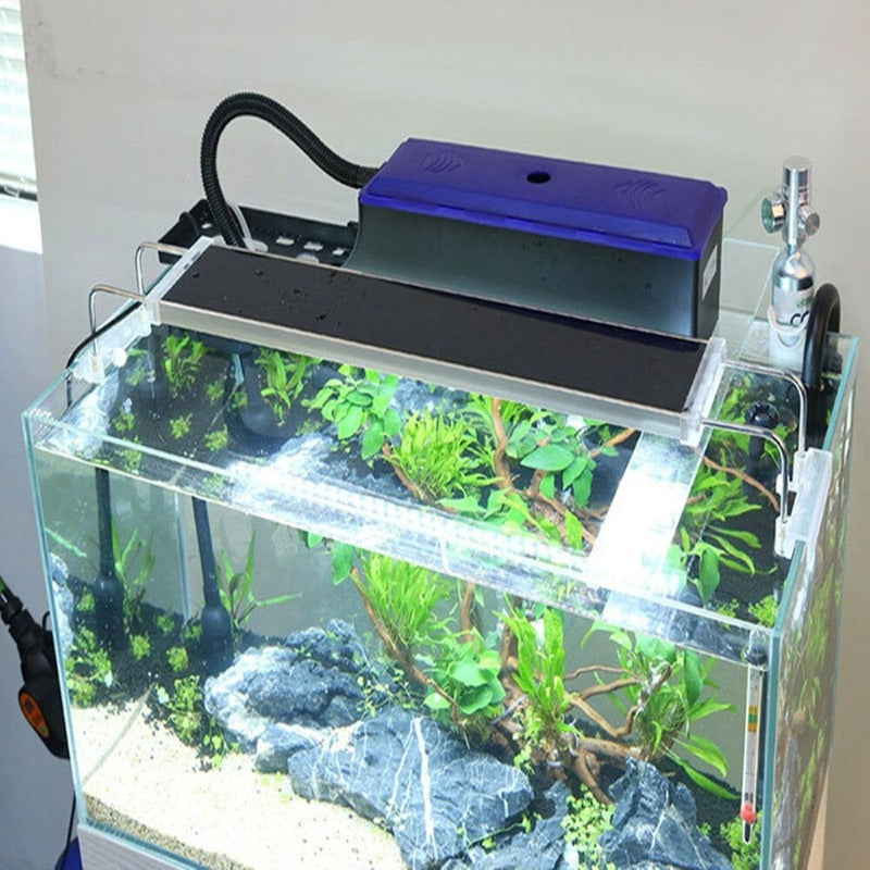 Fish Aquarium External Filter Box