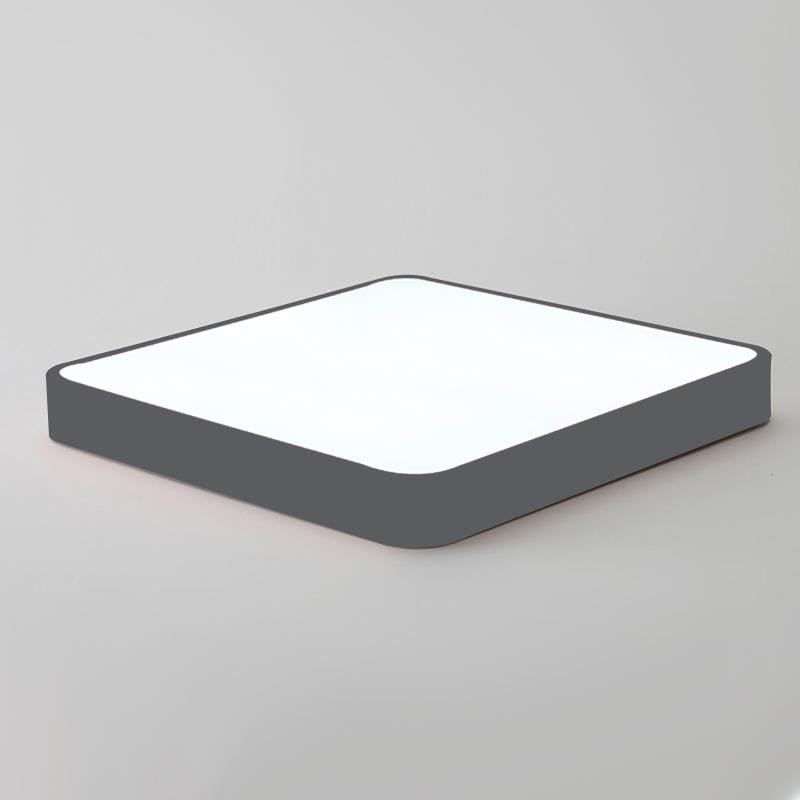 Baron Deux | 2 Color Ceiling Mounted Light