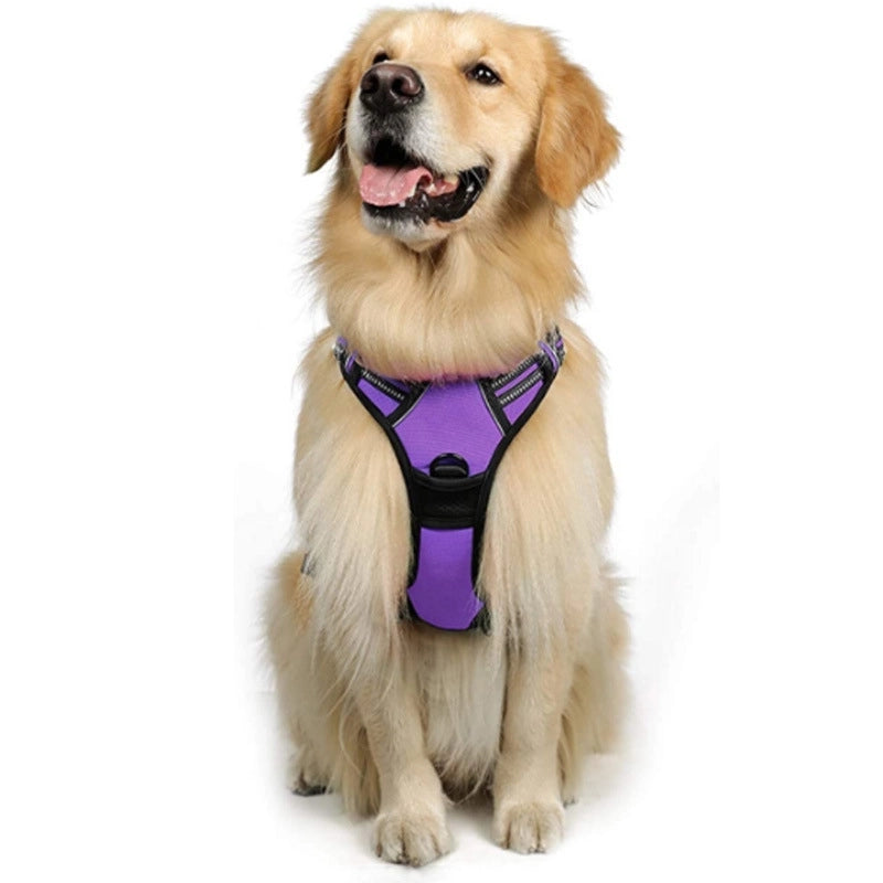 Minimalist Nylon Color Block Leash